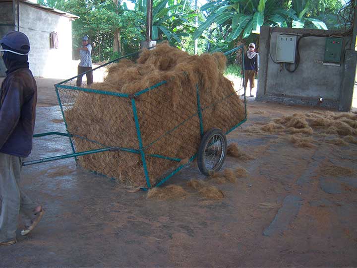 fibra de coco processada