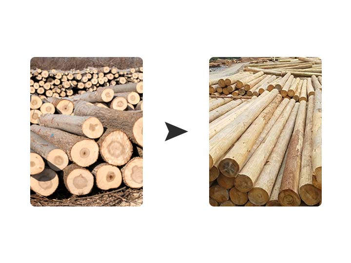 the debarked logs
